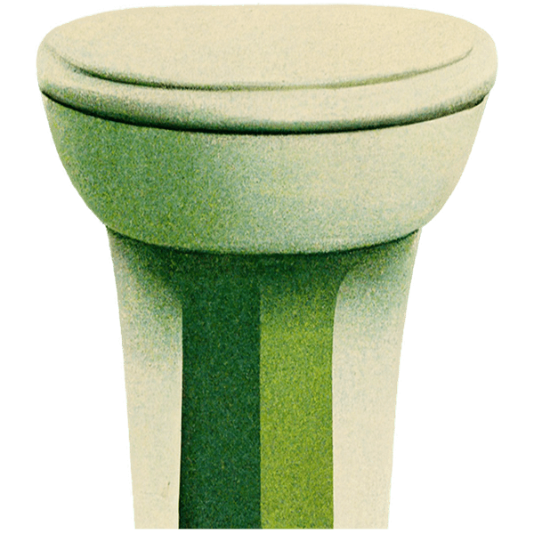 Beautiful Toilet Icon